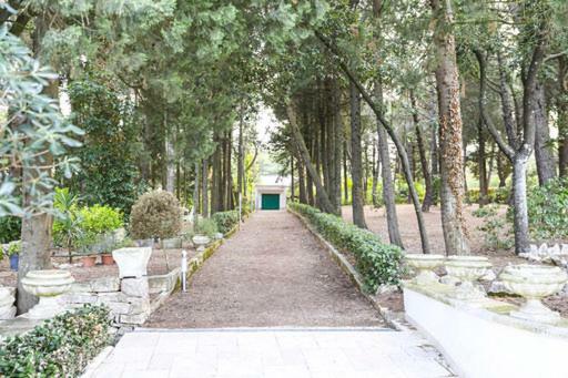 Trullo Villa Giulia 马丁纳弗兰卡 外观 照片